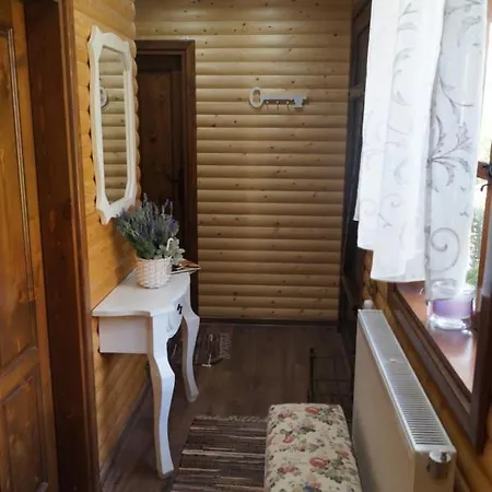 поликсения петиня