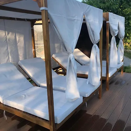 поликсения петиня *