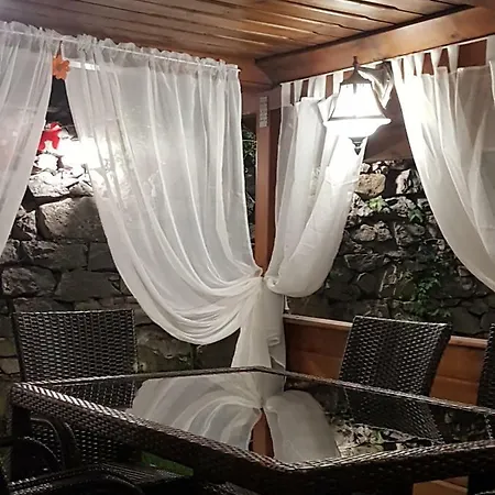 поликсения петиня