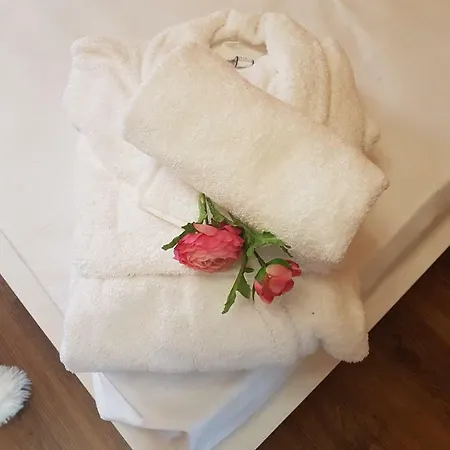 поликсения петиня بيت ضيافة *