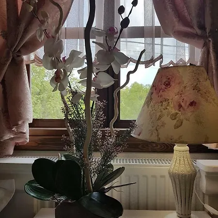 поликсения петиня *