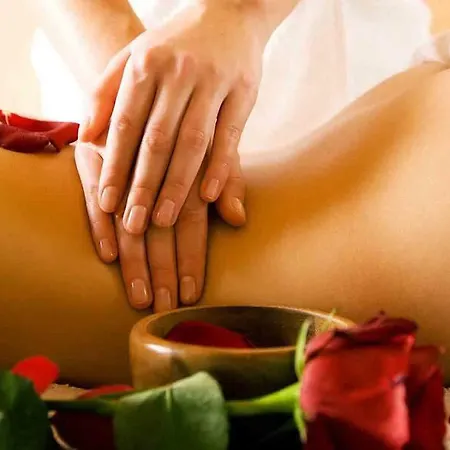 поликсения петиня *