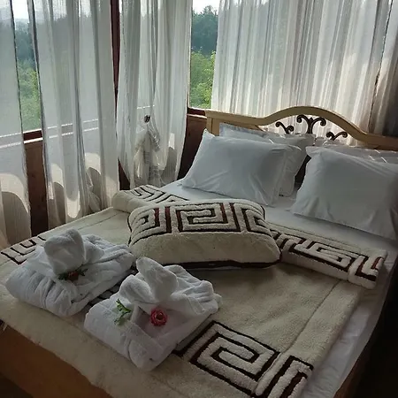 поликсения петиня *