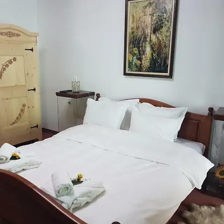 поликсения петиня بيت ضيافة *