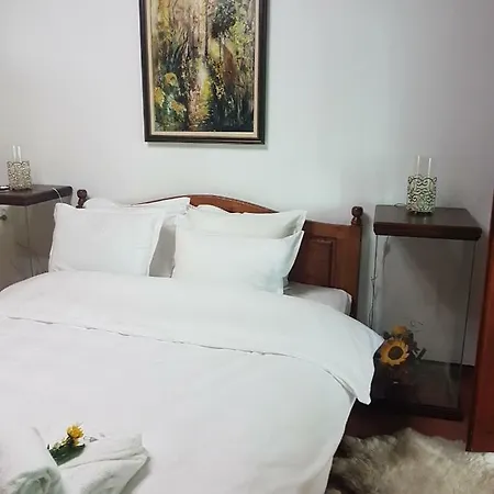 поликсения петиня *