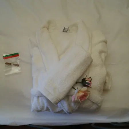 поликсения петиня بيت ضيافة *