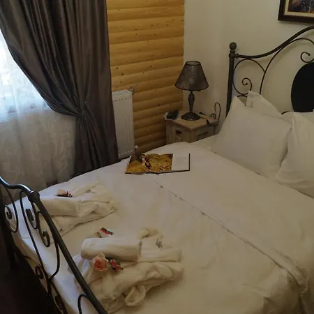 поликсения петиня