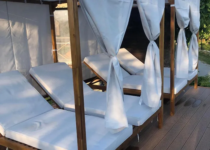 поликсения петиня *