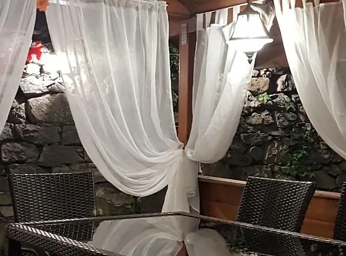 поликсения петиня