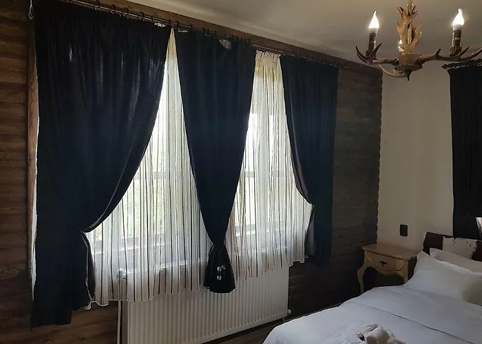 поликсения петиня *