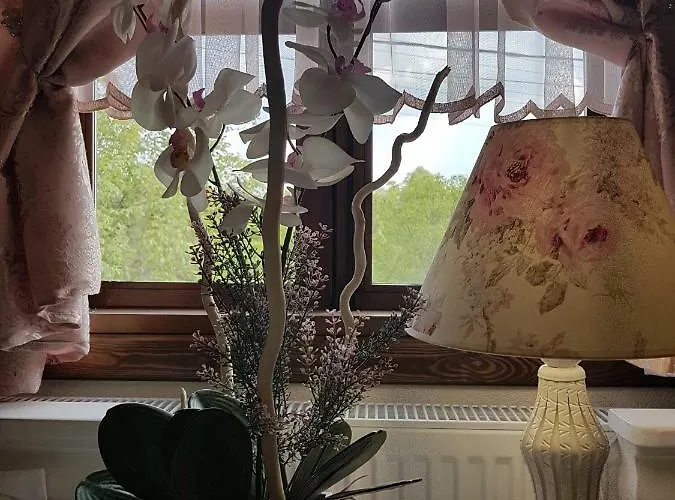 поликсения петиня *