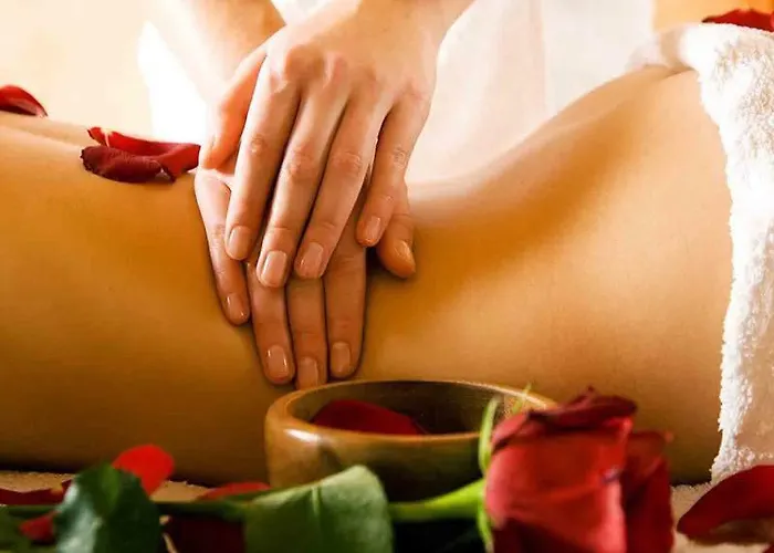 поликсения петиня *