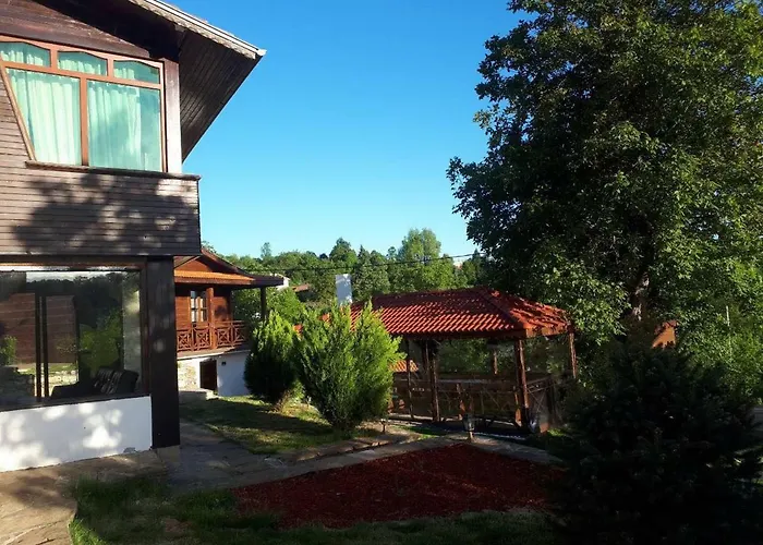 поликсения петиня Tryavna