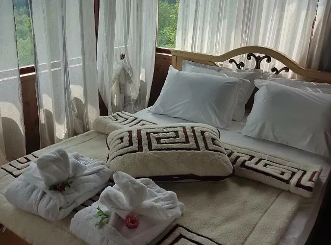 поликсения петиня *