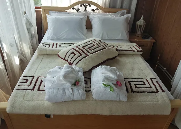 поликсения петиня Tryavna