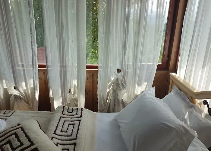 поликсения петиня *