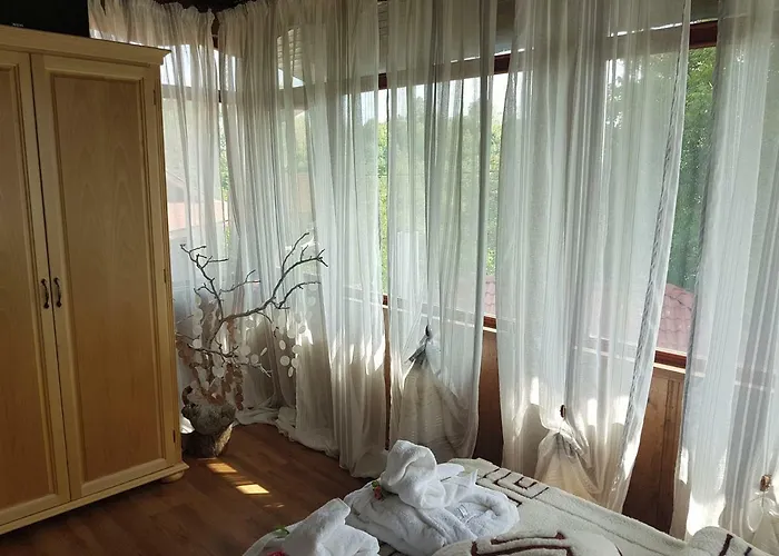 поликсения петиня Affittacamere *