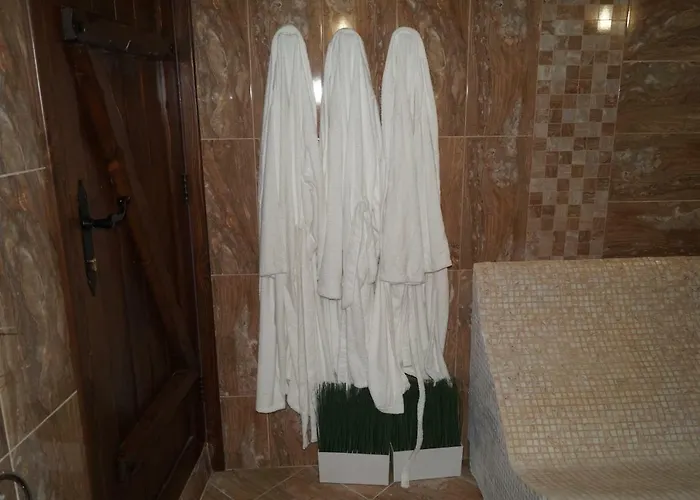 поликсения петиня Tryavna