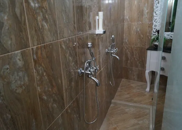 поликсения петиня Tryavna