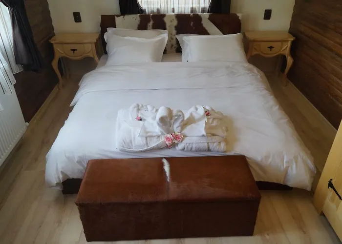 поликсения петиня Affittacamere Tryavna