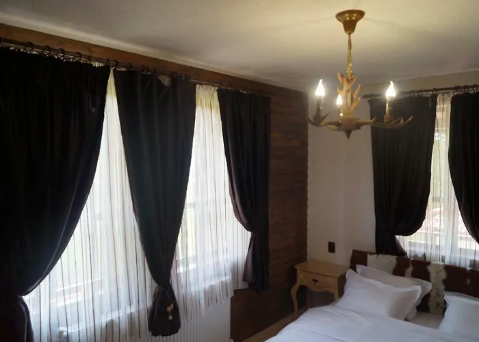 Affittacamere поликсения петиня *