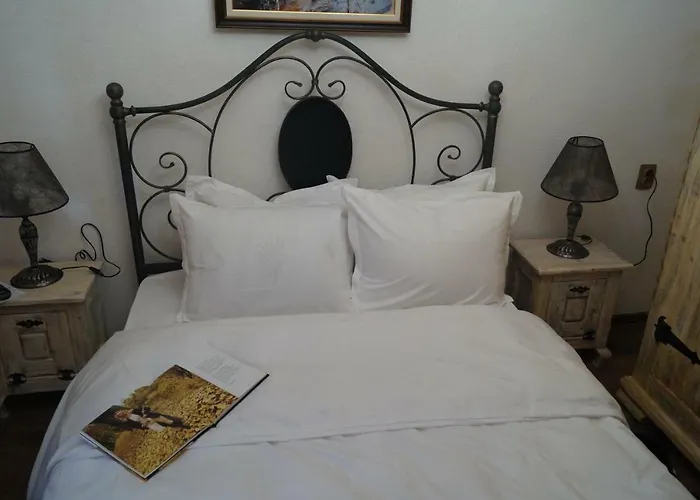 поликсения петиня