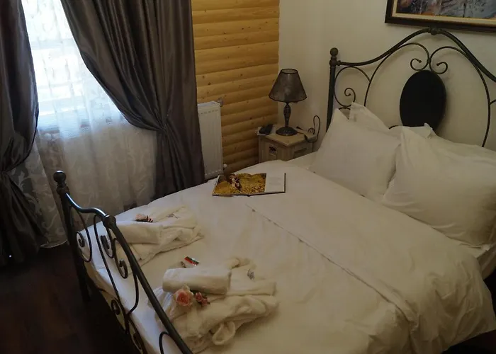 поликсения петиня